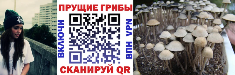 Псилоцибиновые грибы Magic Shrooms  дарнет шоп  Палласовка 